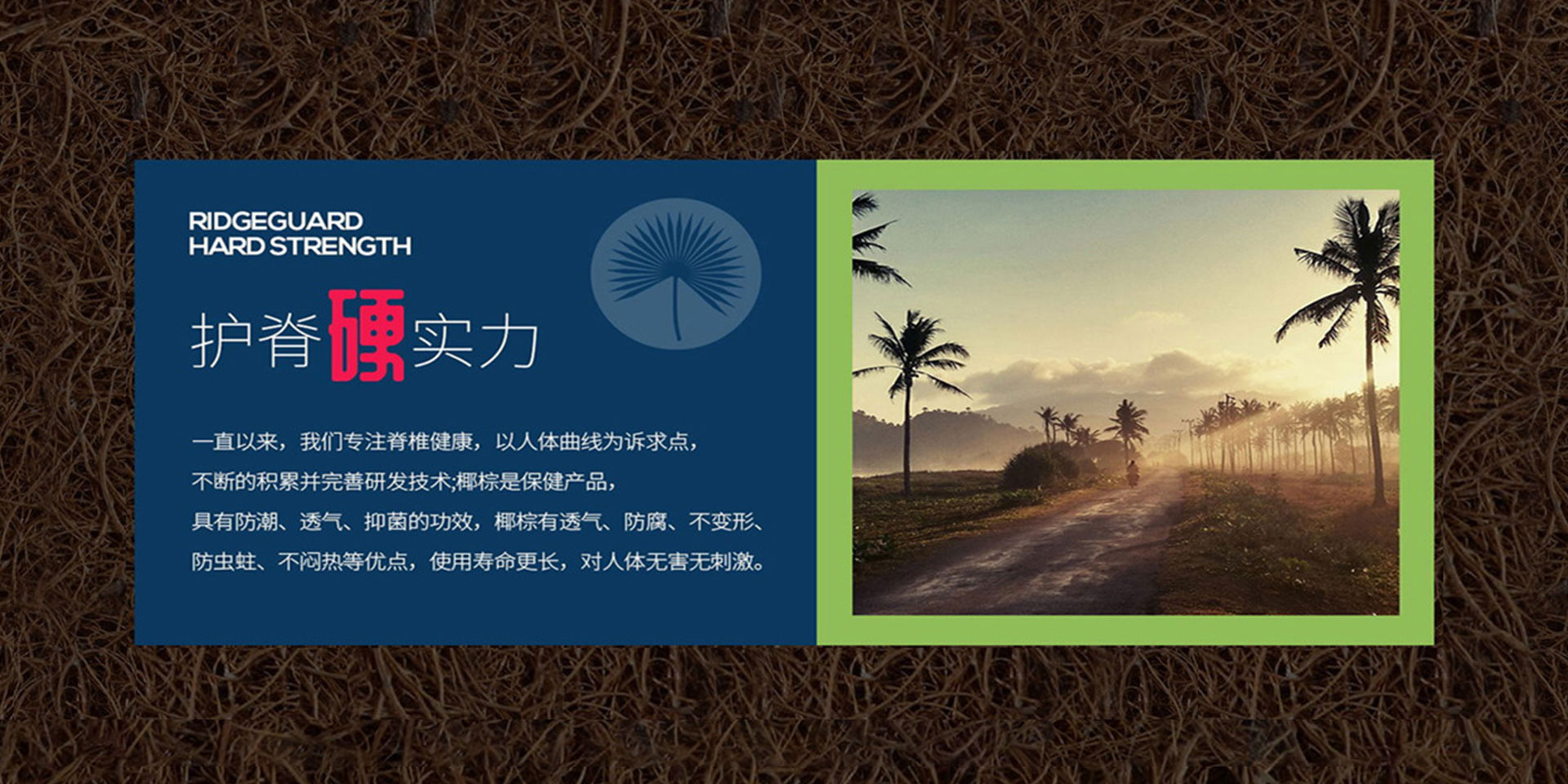 猫咪视频官网