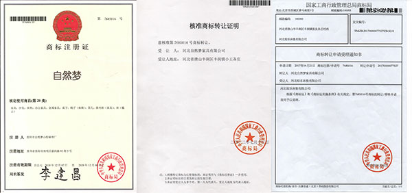 猫咪视频官网