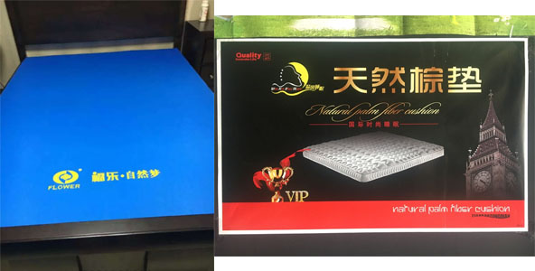 猫咪视频官网