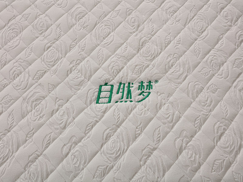 安逸睡觉，你缺少一张猫咪视频官网成人猫咪下载