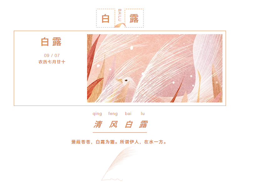 猫咪视频官网
