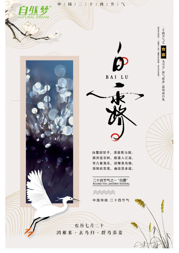 猫咪视频官网床垫